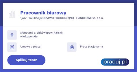 praca lisków|Ponad 100 ofert pracy, zatrudnienie: Lisków, wielkopolskie 28